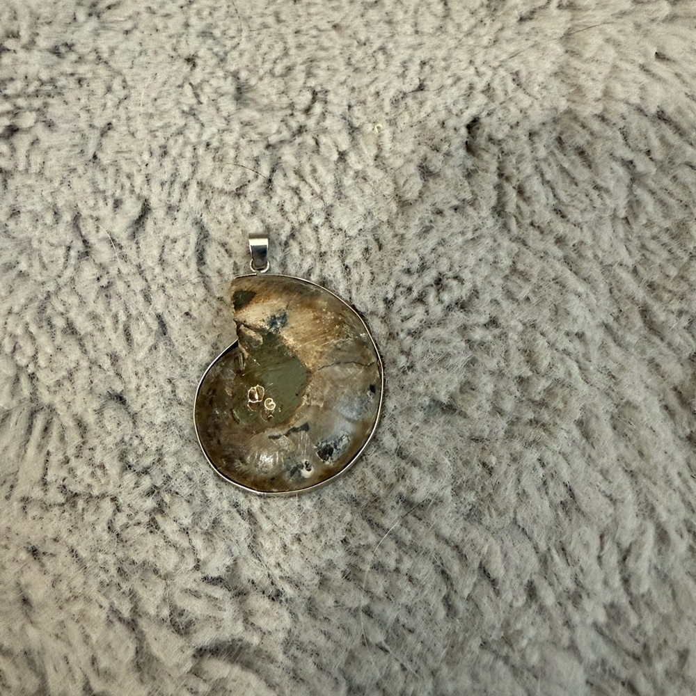 Ammonite fossil pendant